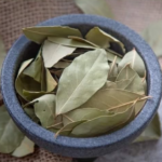 Nopal Cactus: The “Desert Superfood” and Its Potential Health Benefits