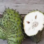 Benefits of guava leaves: what they are for and how to use them correctly