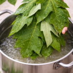 5 Surprising Everyday Uses for Aspirin You Might Not Know About