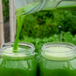 The Secret Natural Fertilizer That Makes Indoor Plants Bloom Faster and Healthier