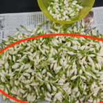 Homemade Rice & Clove Toner: The Natural Skincare Secret for Clear, Firm, Glowing Skin