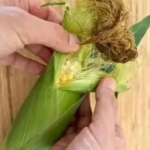 The Best Herbs To TREAT Enlarged Prostate (BPH) – Nature’s Hidden Allies You’re Probably Overlooking