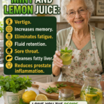Ginger and Tomato Drink: A Premium Natural Kitchen Ritual for Fresh Living, Smart Pantry Choices, and Balanced Wellness