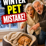 Most Families Never Think About This Until a Tornado Warning Appears