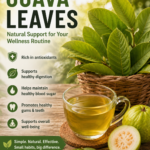 Guava Leaf for Teeth? Oral Care Benefits, Risks, and What to Know First