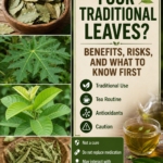 Respiratory Wellness Tea? Benefits, Risks, and What to Know First